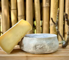 Queijo Casa de Roça Especial - 400g na internet