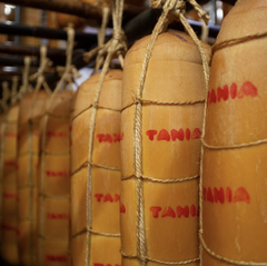 Queijo Provolone - 1,5kg (Rodela - Provoleta)