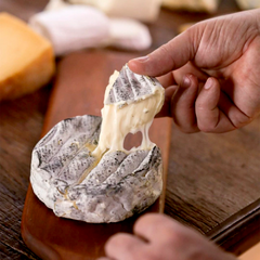 Queijo Lua Cheia 300g na internet