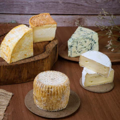 Kit Mofos Nobres na internet