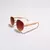 CC6054 ÓCULOS FORTALEZA UNISSEX GOLD - BROWN