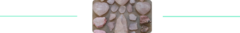 Banner da categoria AMOR E AUTOESTIMA