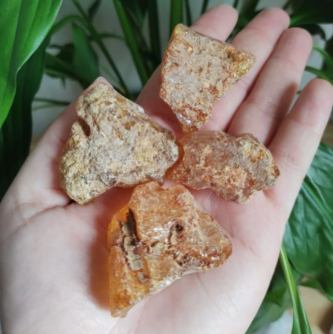 Âmbar - Saúde - Resina