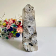 Pedra da Lua - Autoconhecimento e Espiritualidade na internet