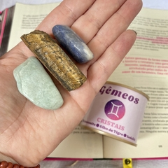 Kit Signo Gêmeos ♊️ na internet