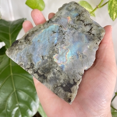 Labradorita - Magia e Espiritualidade - comprar online