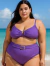 Biquíni Plus Size Com Bojo Hot Pants Com Detalhe Em U Frontal Vanilla | Roxo - comprar online