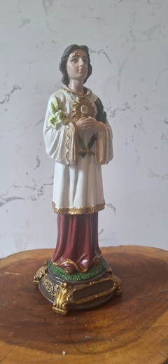 São Tarcísio 20 cm gesso maciço - loja online