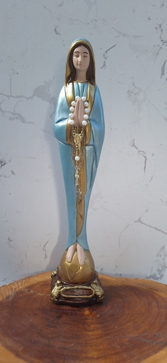 Nossa Senhora do Silêncio 30 cm- gesso - comprar online
