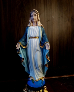 Nossa Senhora das Graças 20 cm - comprar online