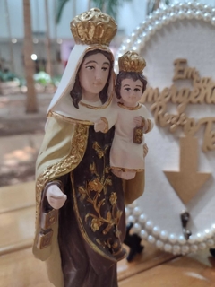Nossa Senhora do Carmo 20 cm na internet