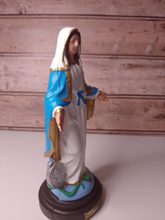 Nossa Senhora das Graças 20 cm látex (com medalhas) na internet