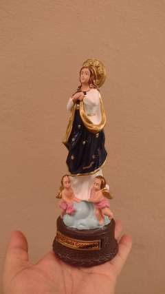 Nossa Senhora Imaculada Conceição 20 cm látex inquebrável na internet