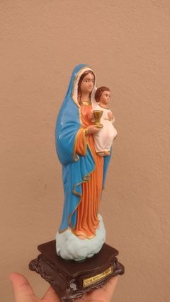 Nossa Senhora da Saúde 30 cm - látex inquebrável na internet