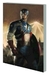 CAPTAIN AMERICA FIRST VENGEANCE TPB