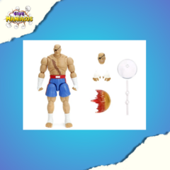 [Pré-venda] Sagat, Street Fighter II - 1/12 - Jada Toys - comprar online