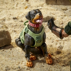 G.I. JOE Classified Series - Mutt and Junkyard - Hasbro - loja online