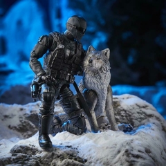 G.I. JOE Classified Series - Snake Eyes & Timber Wolf - Hasbro na internet