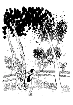JUN (A História Real de um Músico Autista – Graphic Novel) - Gibi Maniacos
