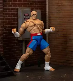 [Pré-venda] Sagat, Street Fighter II - 1/12 - Jada Toys - loja online