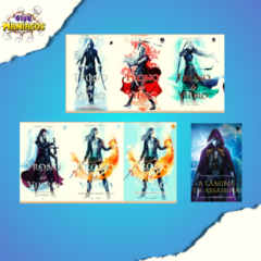 Trono de Vidro Vol. 01 ao 05 + Lámina da Assassina (Pack) - comprar online