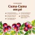 Camu-camu em pó 200g - Terramazonia Superplants