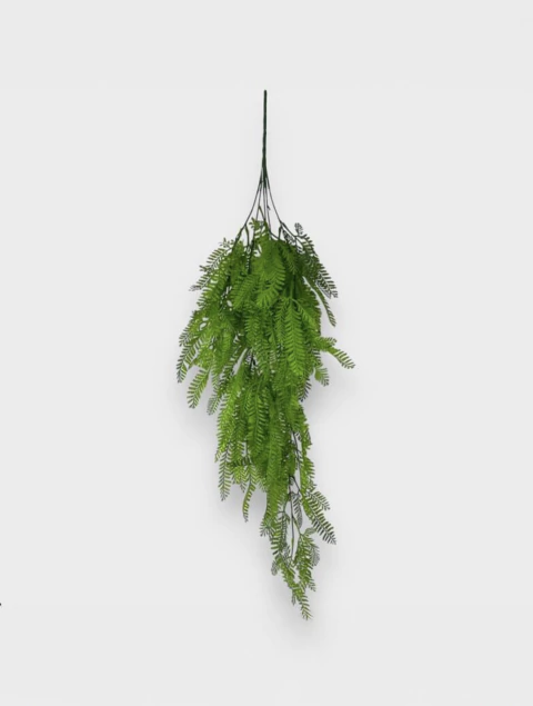 Caida Helecho - comprar online