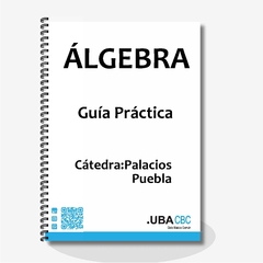 ÁLGEBRA - Guia Práctica - Cátedra: Palacios Puebla