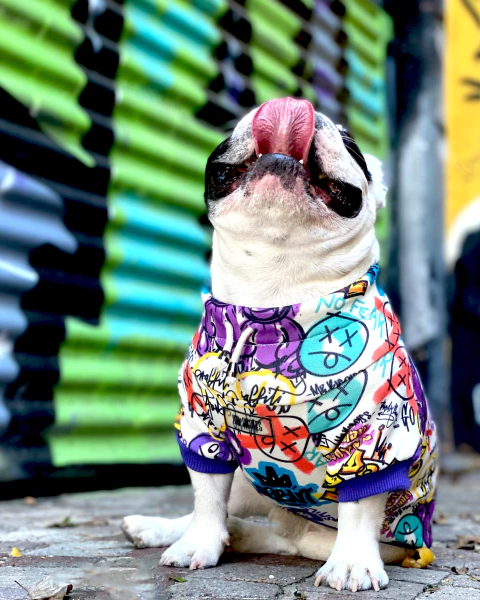 BUZO NOT FEAR - comprar online