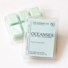 Pastilha de Cera - Wax Melt - Oceanside