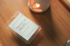 Pastilha de Cera - Wax Melt - Picolé de Melão na internet