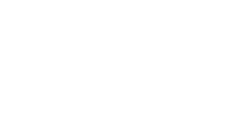 Ruiseñor Accesorios Mayorista