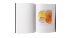 Catálogo Nemer - Aquarelas Recentes - comprar online