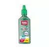 Cola Glitter 35g Verde - Tris - comprar online