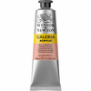 Tinta Acrílica Winsor & Newton Galeria 60ml Pale Terracotta