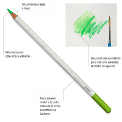 Lápis Aquarela Winsor & Newton 24 Cores - comprar online