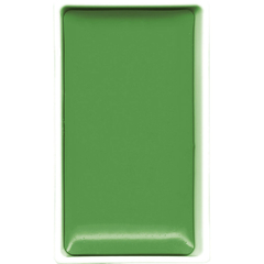 Aquarela Kuretake Gansai Tambi Ivy Green