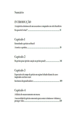 O Brasil prende demais? Refexões sobre a prisão na internet