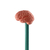Cerebro Topper Lapiz