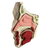 Maqueta Cabeza Corte Sagital - comprar online