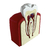Maqueta Diente Premolar - comprar online