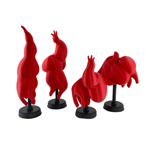 Formación del Corazón Embrionario - Asa Cardiaca