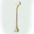 Hueso Femur Tamaño Natural