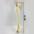 Hueso Femur Tamaño Natural - comprar online