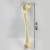 Hueso Femur Tamaño Natural - comprar online