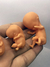 Embriones Modelos 3D - comprar online