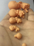 Embriones Modelos 3D - Mundo Med