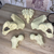 Pelvis Femenina Tamaño Real - tienda online