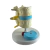 Maqueta Hernia De Disco