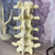 5 Vertebras Lumbares Escala 1:1 en internet